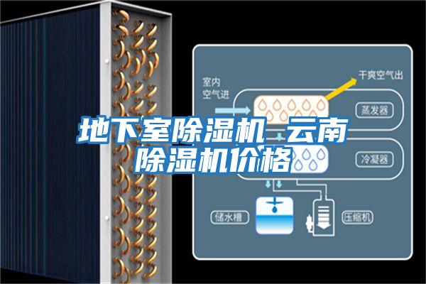 地下室除湿机 云南除湿机价格