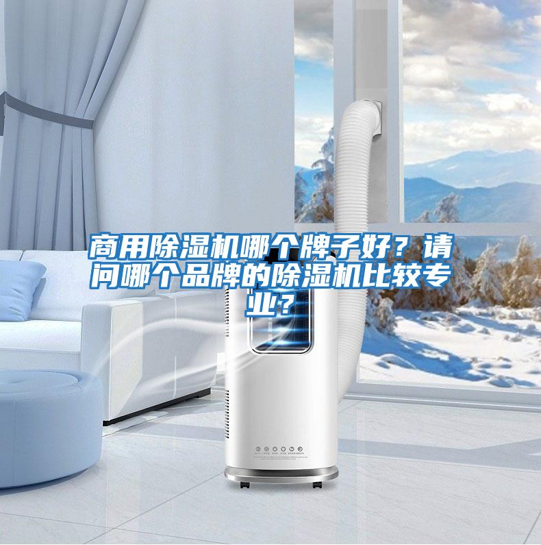 商用除湿机哪个牌子好？请问哪个品牌的除湿机比较专业？