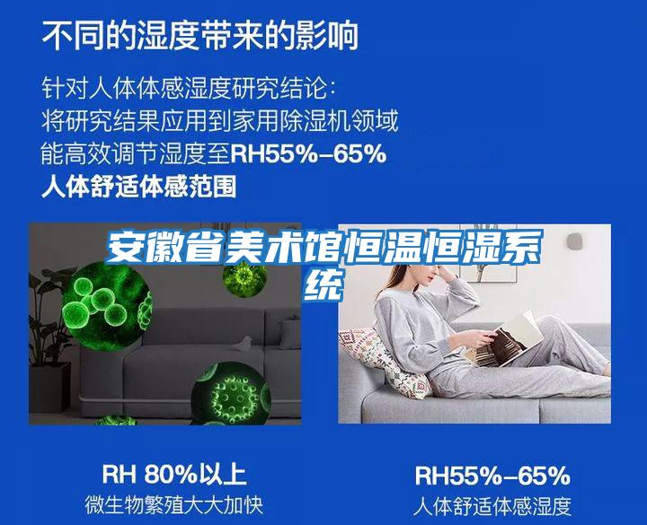 安徽省美术馆恒温恒湿系统