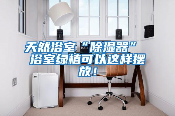 天然浴室“除湿器” 浴室绿植可以这样摆放！