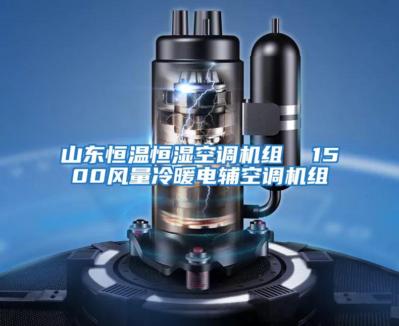 山东恒温恒湿空调机组  1500风量冷暖电辅空调机组