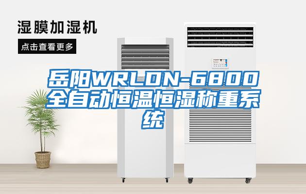 岳阳WRLDN-6800全自动恒温恒湿称重系统