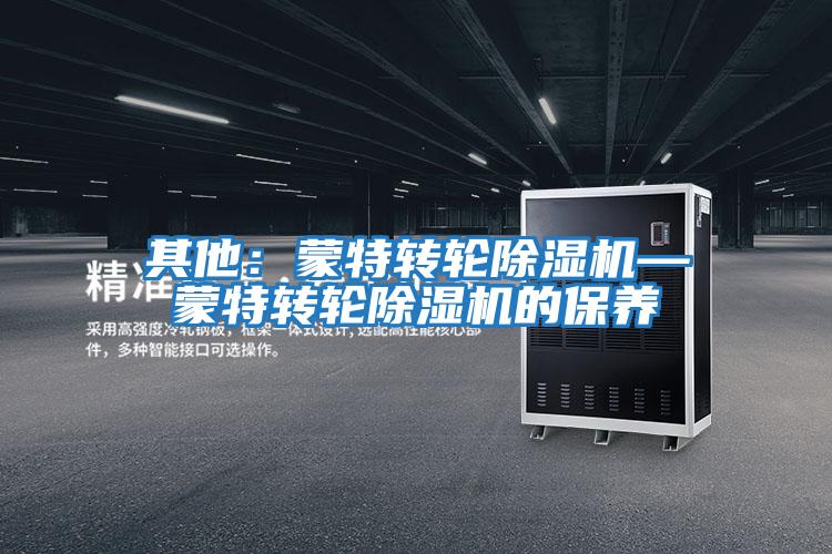 其他：蒙特转轮除湿机—蒙特转轮除湿机的保养