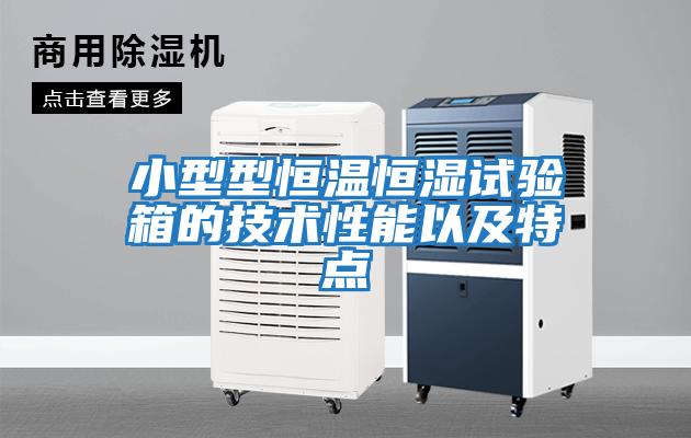 小型型恒温恒湿试验箱的技术性能以及特点