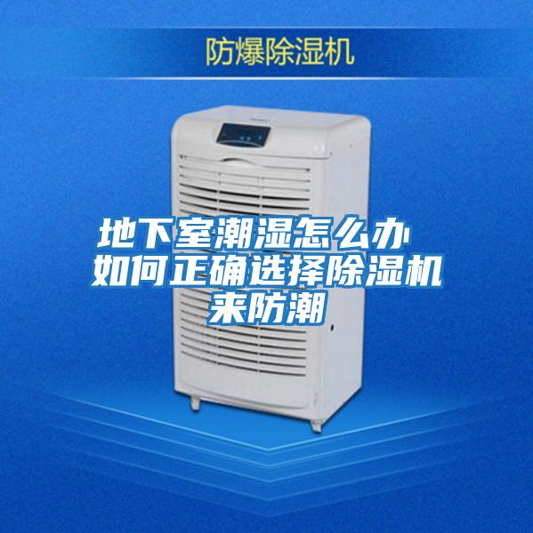地下室潮湿怎么办 如何正确选择除湿机来防潮