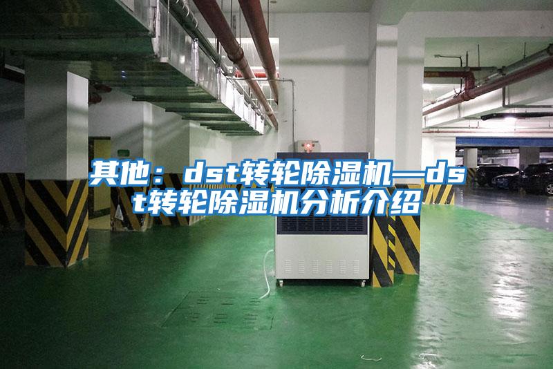 其他：dst转轮除湿机—dst转轮除湿机分析介绍