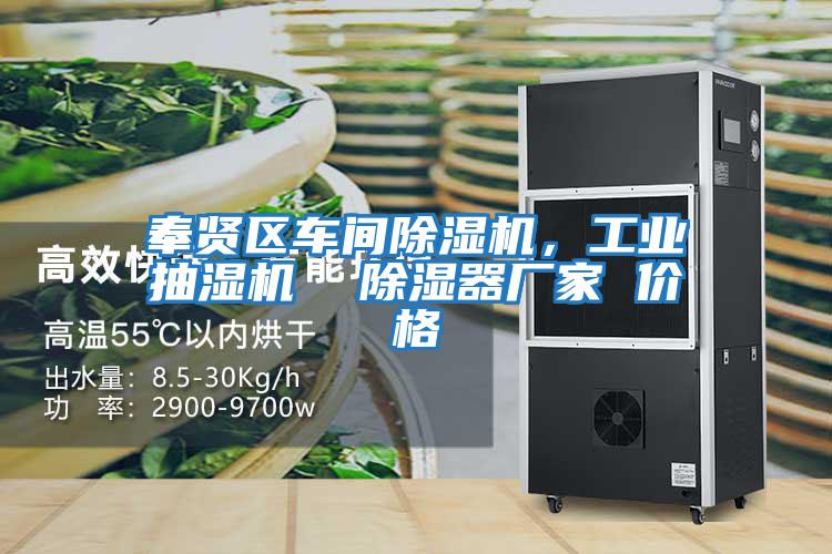 奉贤区车间除湿机，工业抽湿机  除湿器厂家 价格