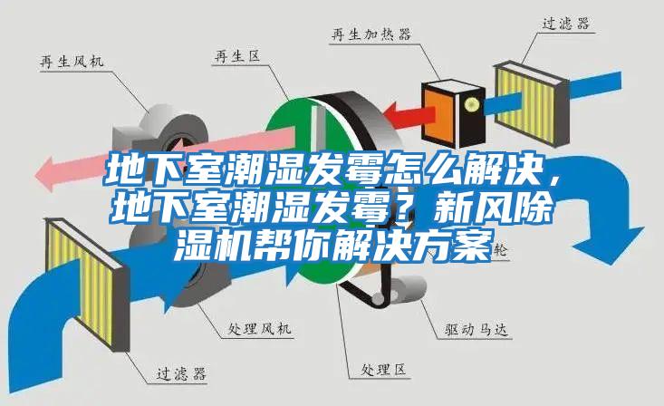 地下室潮湿发霉怎么解决，地下室潮湿发霉？新风除湿机帮你解决方案