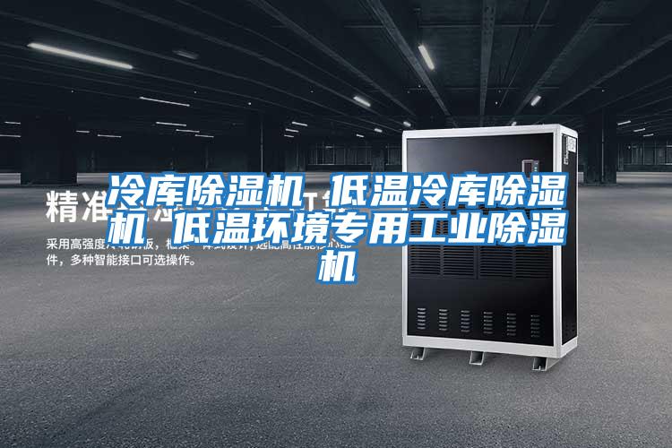 冷库除湿机 低温冷库除湿机 低温环境专用工业除湿机