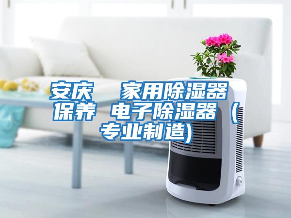安庆  家用除湿器 保养 电子除湿器 (专业制造)