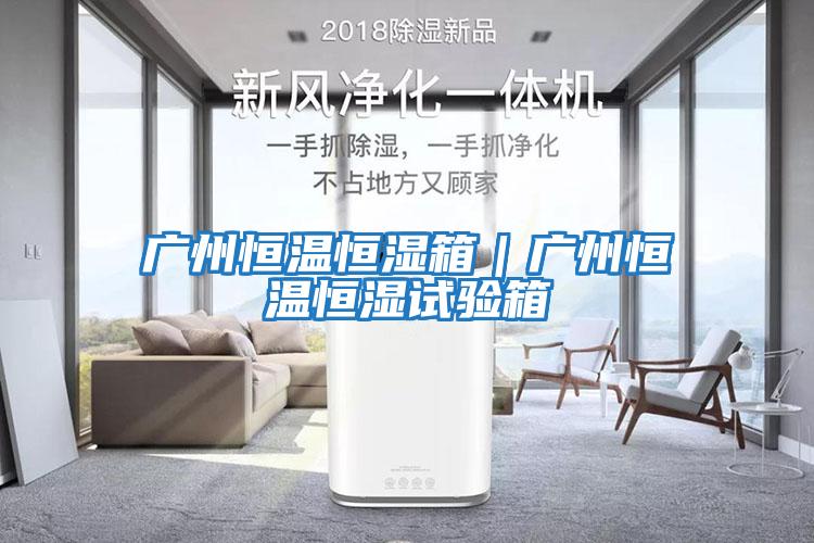 广州恒温恒湿箱｜广州恒温恒湿试验箱