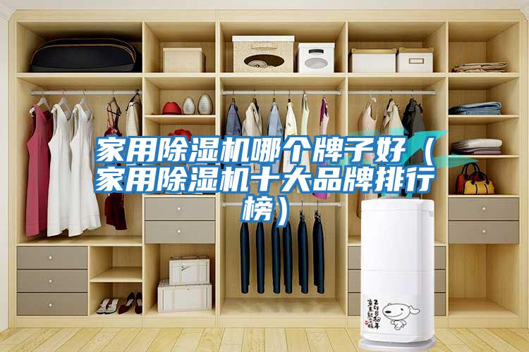 家用除湿机哪个牌子好（家用除湿机十大品牌排行榜）