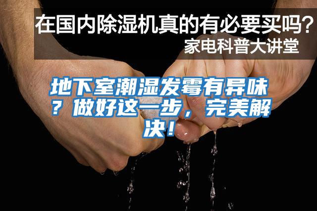 地下室潮湿发霉有异味？做好这一步，完美解决！