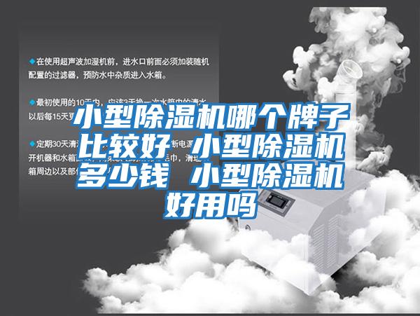 小型除湿机哪个牌子比较好 小型除湿机多少钱 小型除湿机好用吗