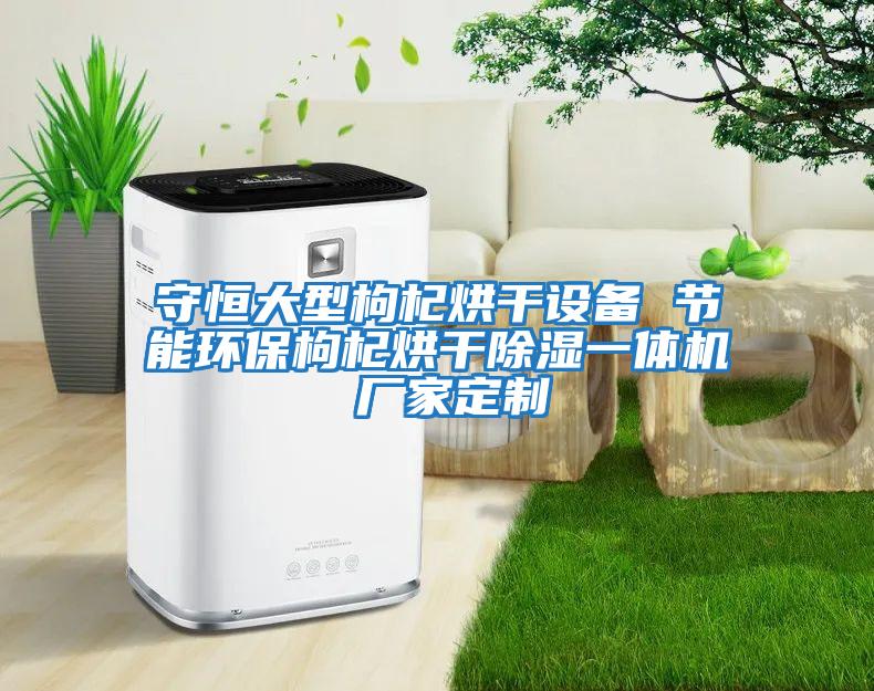 守恒大型枸杞烘干设备 节能环保枸杞烘干除湿一体机 厂家定制