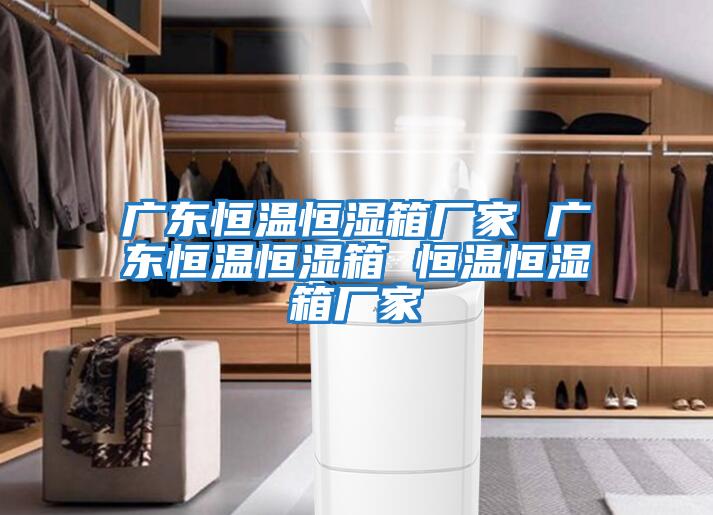 广东恒温恒湿箱厂家 广东恒温恒湿箱 恒温恒湿箱厂家