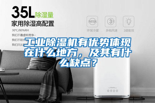 工业除湿机有优势体现在什么地方，及其有什么缺点？