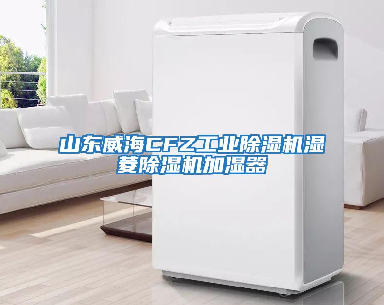 山东威海CFZ工业除湿机湿菱除湿机加湿器