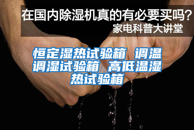 恒定湿热试验箱 调温调湿试验箱 高低温湿热试验箱