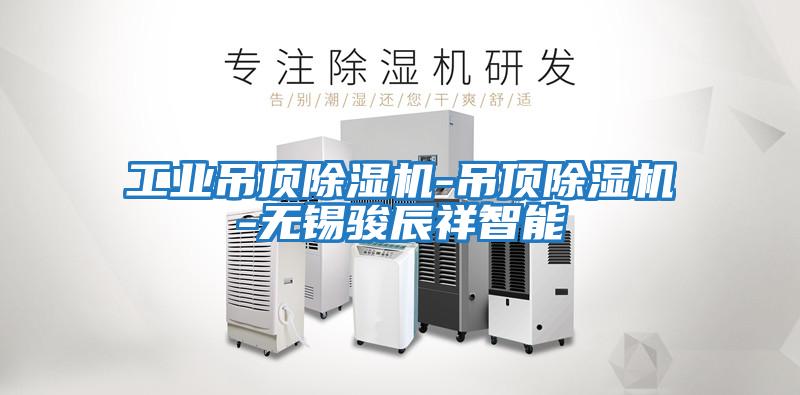 工业吊顶除湿机-吊顶除湿机-无锡骏辰祥智能