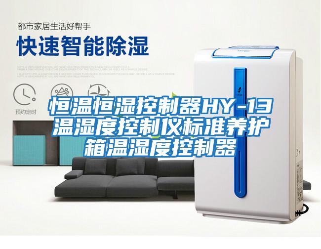 恒温恒湿控制器HY-13温湿度控制仪标准养护箱温湿度控制器