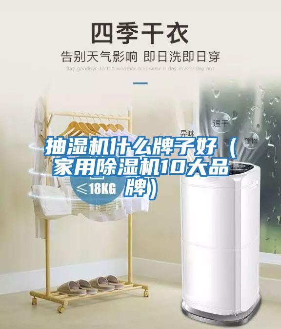 抽湿机什么牌子好（家用除湿机10大品牌）