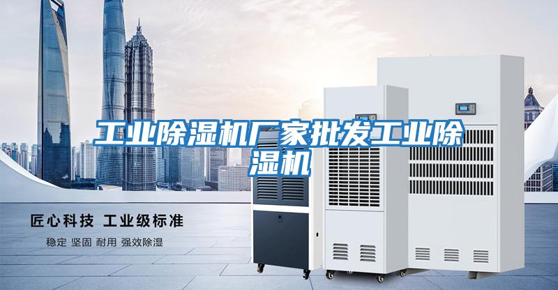 工业除湿机厂家批发工业除湿机