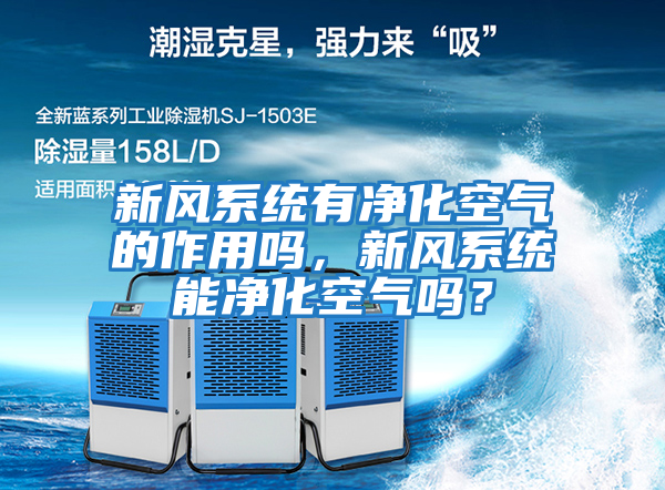 新风系统有净化空气的作用吗，新风系统能净化空气吗？
