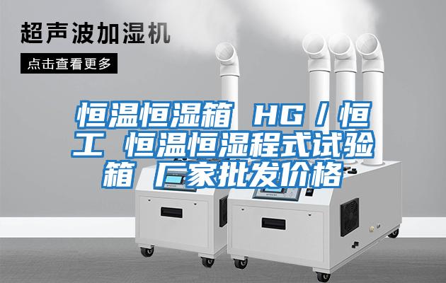 恒温恒湿箱 HG／恒工 恒温恒湿程式试验箱 厂家批发价格