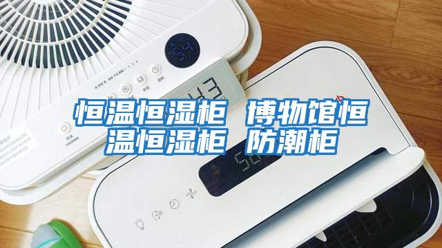 恒温恒湿柜 博物馆恒温恒湿柜 防潮柜