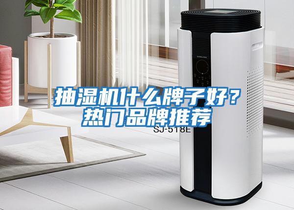 抽湿机什么牌子好？热门品牌推荐