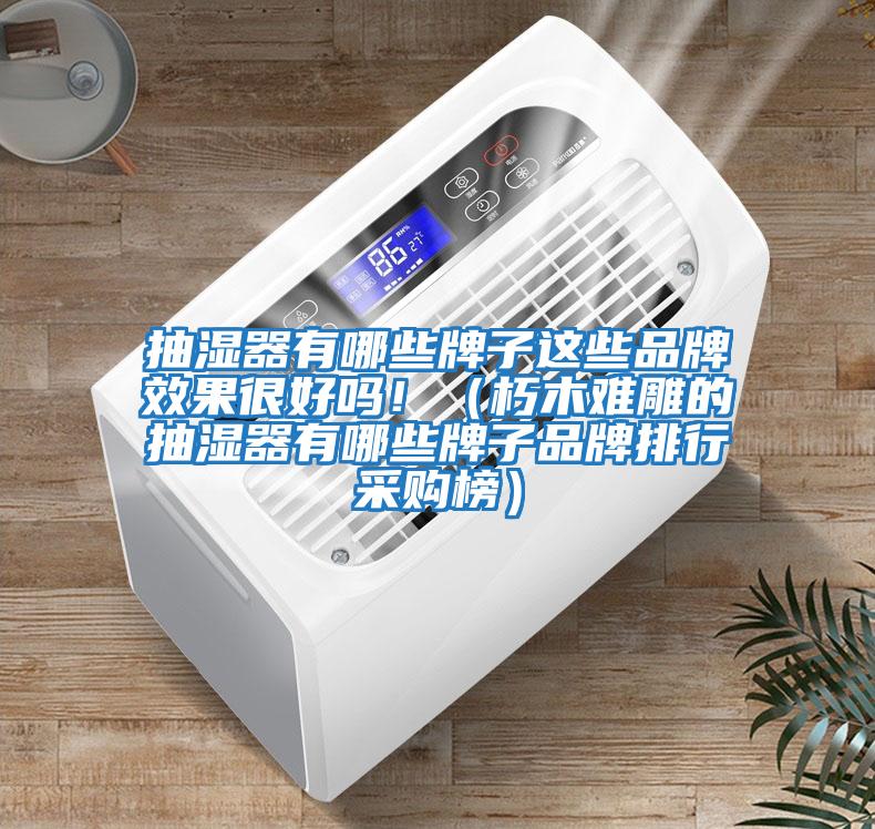 抽湿器有哪些牌子这些品牌效果很好吗！（朽木难雕的抽湿器有哪些牌子品牌排行采购榜）