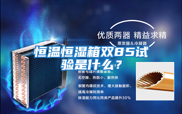 恒温恒湿箱双85试验是什么？
