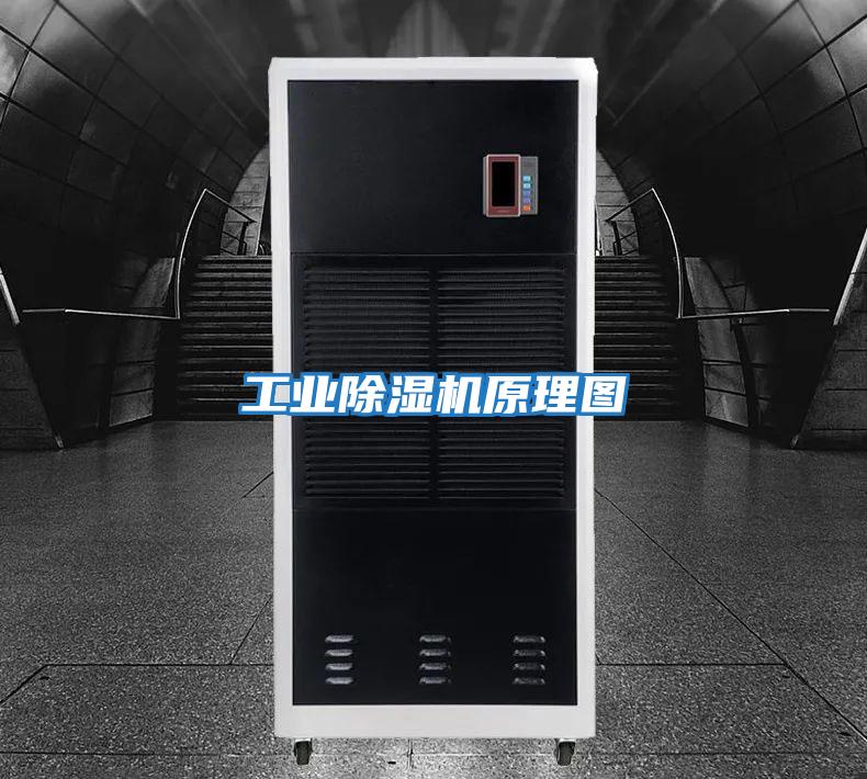 工业除湿机原理图