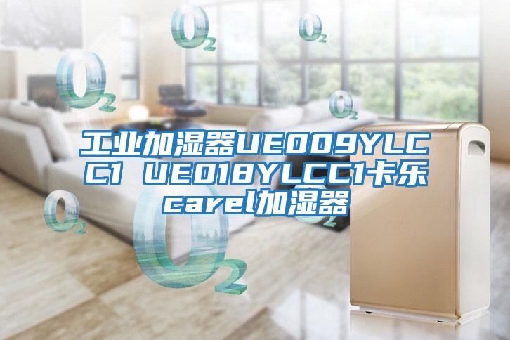 工业加湿器UE009YLCC1 UE018YLCC1卡乐carel加湿器