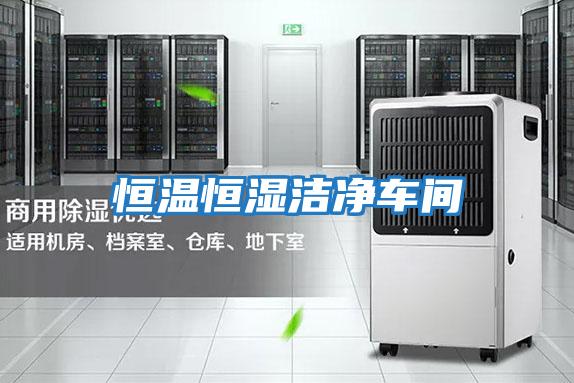 恒温恒湿洁净车间