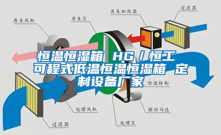 恒温恒湿箱 HG／恒工 可程式低温恒温恒湿箱 定制设备厂家
