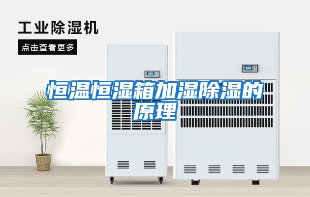 恒温恒湿箱加湿除湿的原理