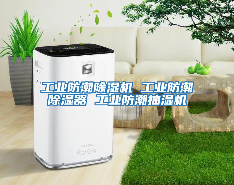 工业防潮除湿机 工业防潮除湿器 工业防潮抽湿机