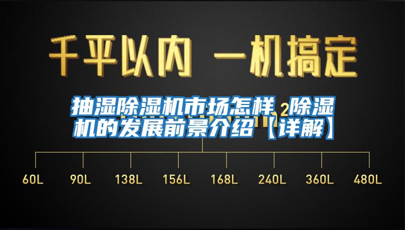 抽湿除湿机市场怎样 除湿机的发展前景介绍【详解】