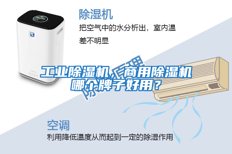 工业除湿机，商用除湿机哪个牌子好用？