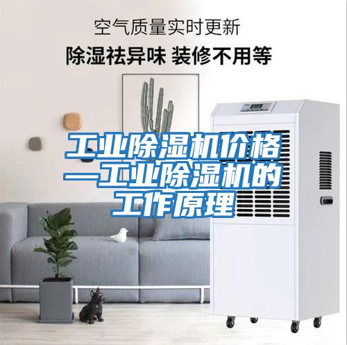 工业除湿机价格—工业除湿机的工作原理