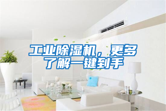 工业除湿机，更多了解一键到手