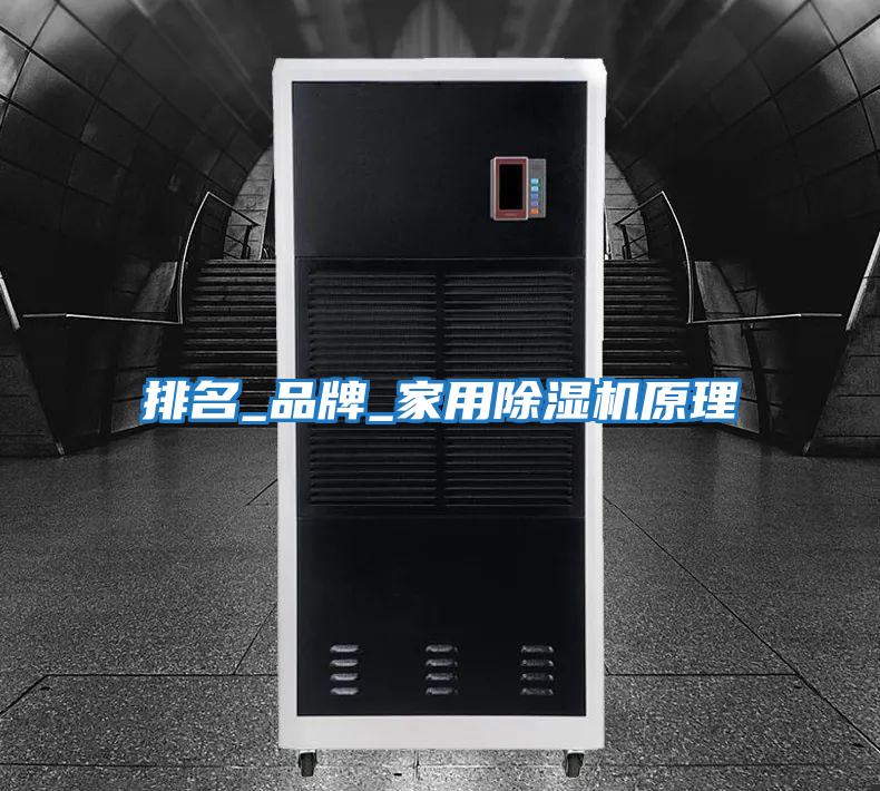 排名_品牌_家用除湿机原理