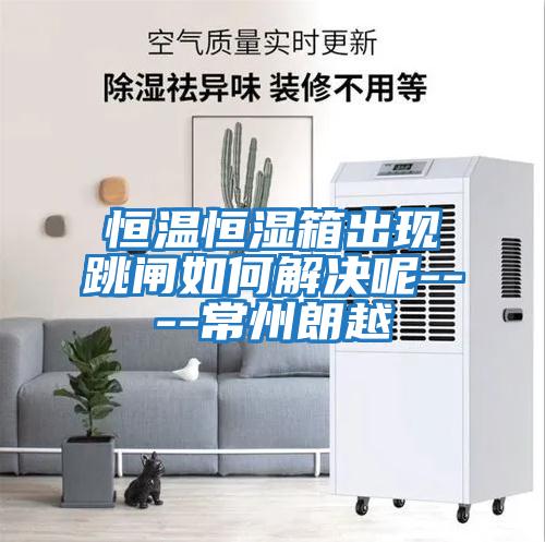 恒温恒湿箱出现跳闸如何解决呢----常州朗越