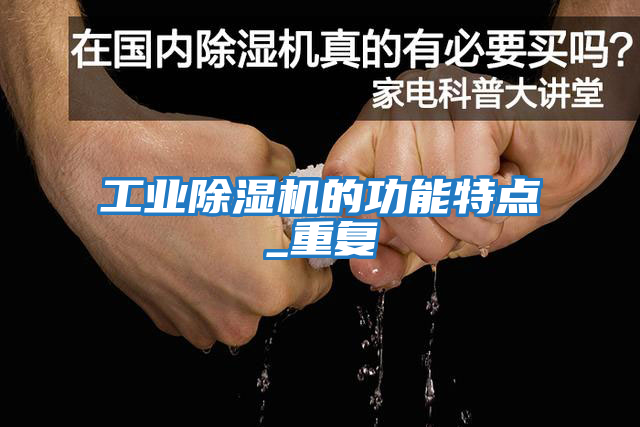 工业除湿机的功能特点_重复