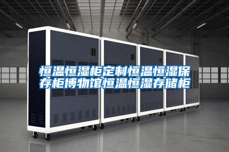 恒温恒湿柜定制恒温恒湿保存柜博物馆恒温恒湿存储柜