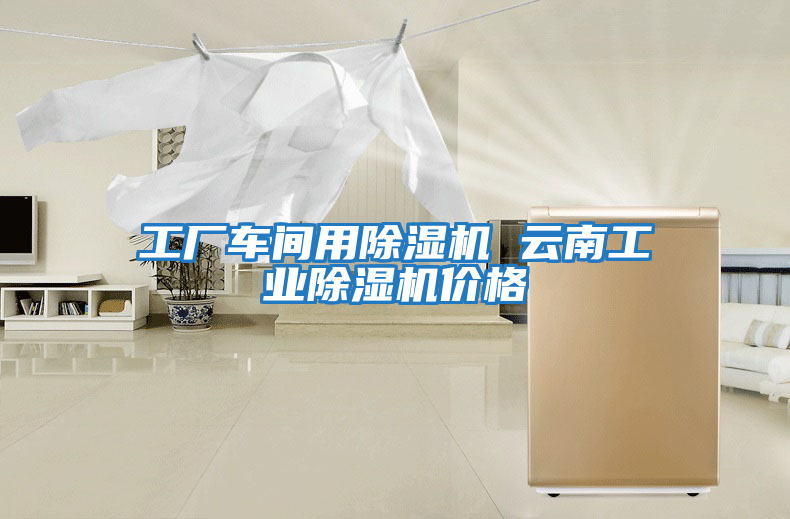 工厂车间用除湿机 云南工业除湿机价格