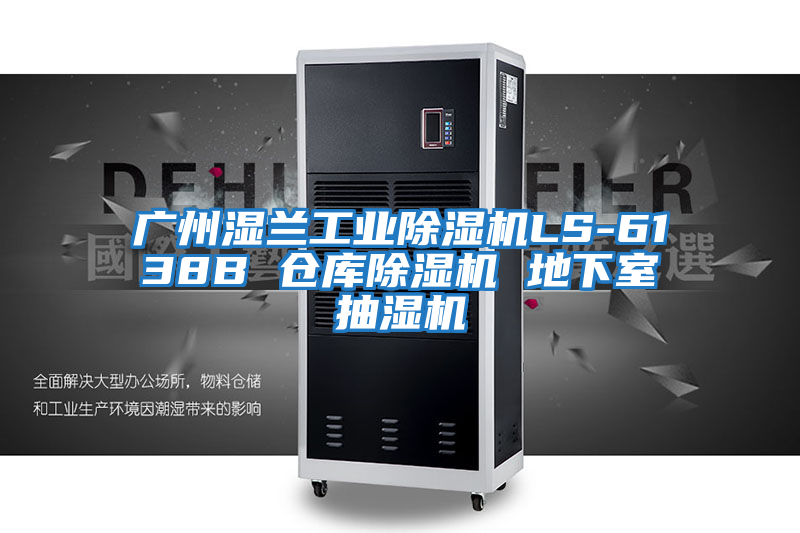 广州湿兰工业除湿机LS-6138B 仓库除湿机 地下室抽湿机