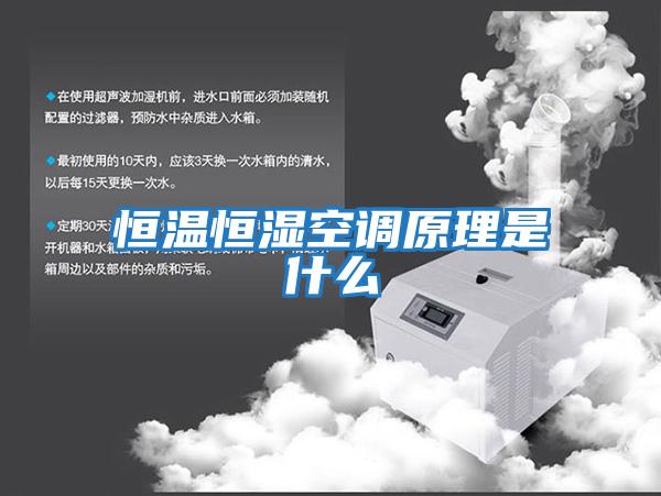 恒温恒湿空调原理是什么